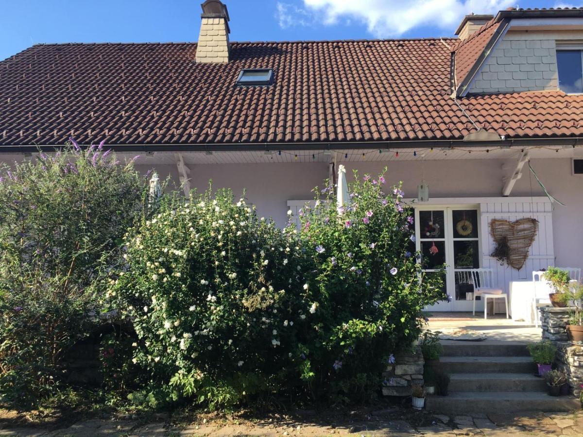 Villa Carla Ehrenhausen Exteriör bild