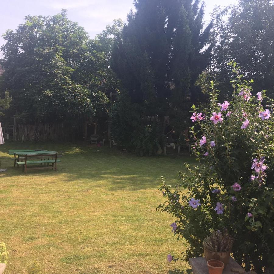 Villa Carla Ehrenhausen Exteriör bild